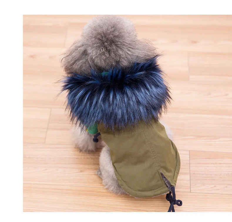 9458128125_859103132 (1)