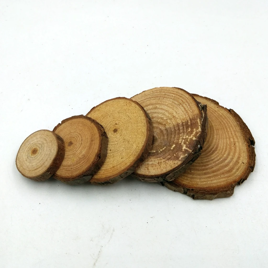 50 Pieces Natural Wood Log Slice Tree Chic Wooden Discs Wedding Pyrography Table Centerpiece Cake Stand 2-4cm