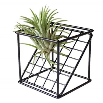 

Wrought Iron Square Oblique Grid Geometric Air Plants Flower Stand Holder Plating Process Air Flower Pot Hanging