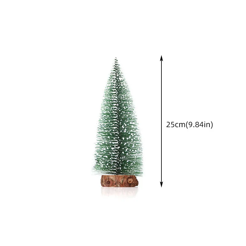 25CM