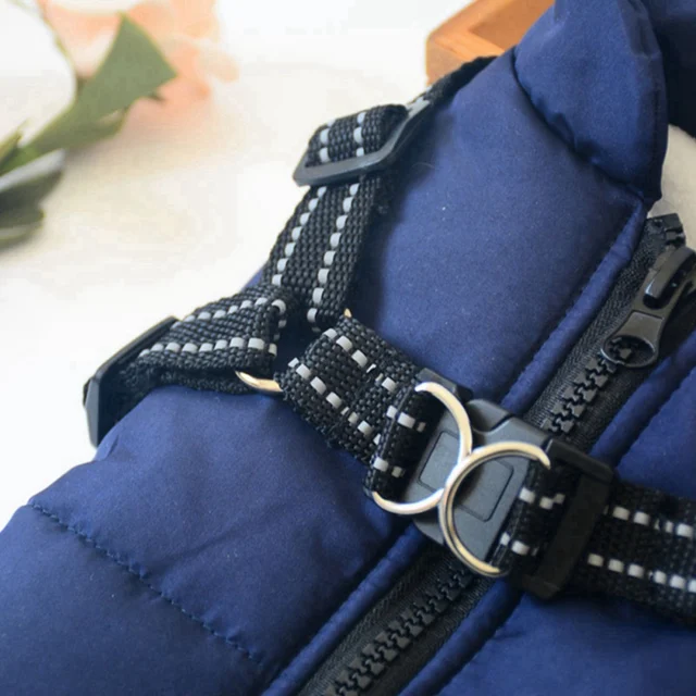 Winter Jacket With Harness 4