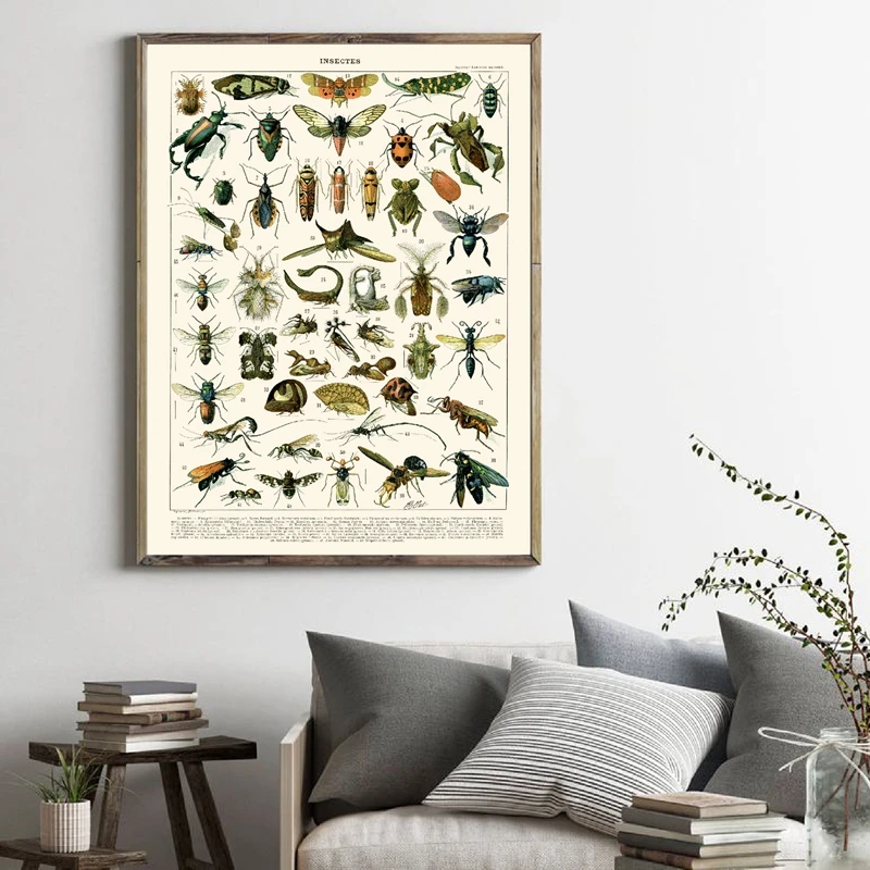 Французский рисунок насекомых, биология, плакаты и принты, красивые жуки, насекомые, картины в винтажном стиле, настенная живопись на холсте, офисный Декор
