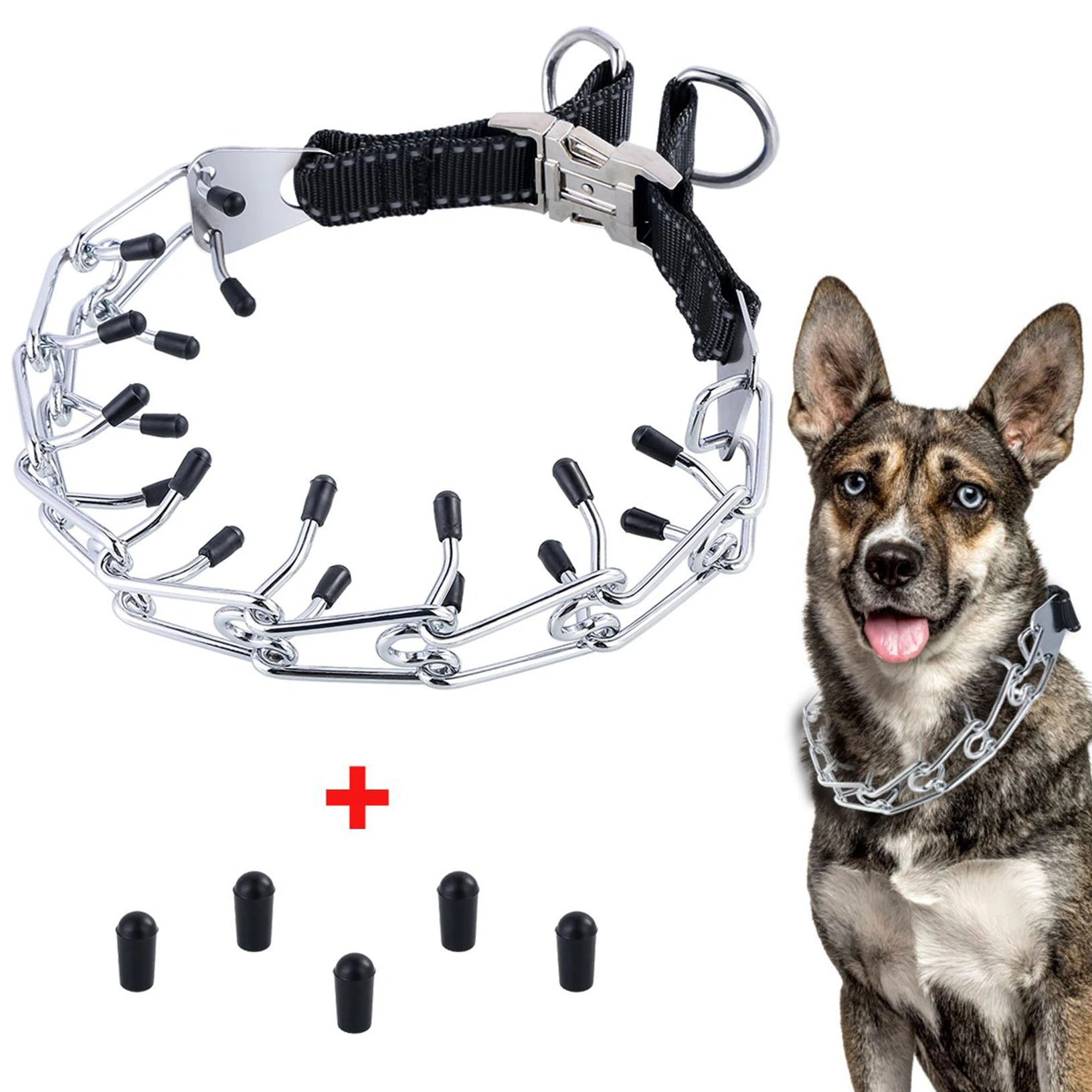 metal prong dog training collar