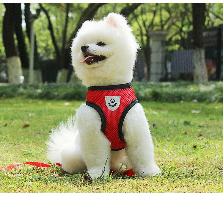 14371975719_609020808