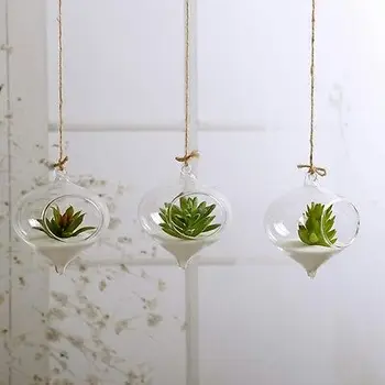 

Hanging Ball Glass Flower Planter Vase Terrarium Container Landscape Bottle