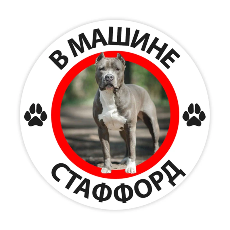 

B0263 # различные размеры Стаффорд на борту, самоклеящаяся наклейка, автомобильная наклейка, водонепроницаемые Автомобильные украшения на бампер, заднее окно
