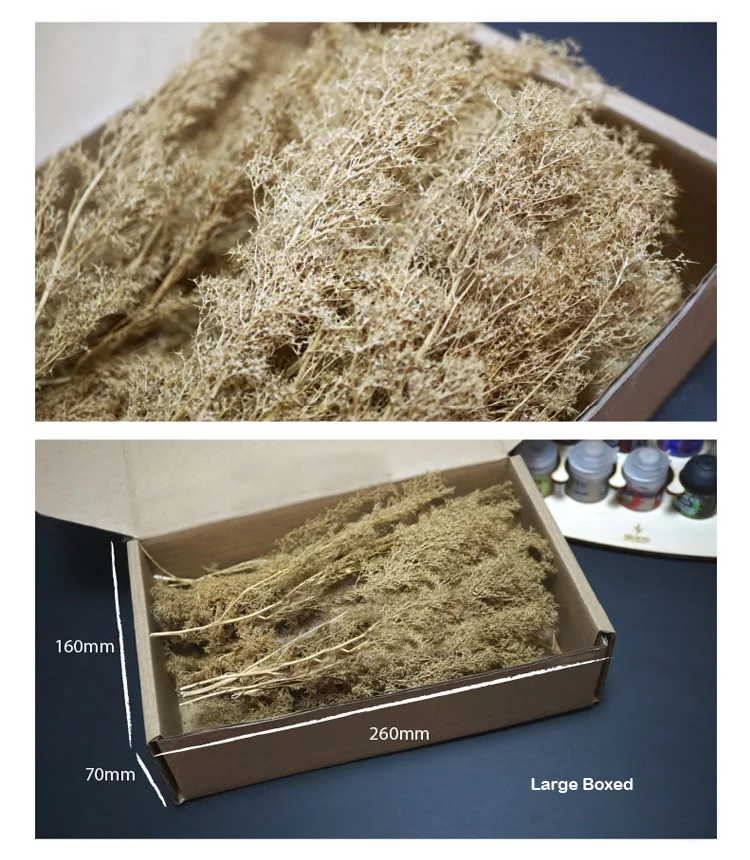 Miniature model  Chenopodium spinosum  Train sand table  War scene model  DIY transformation materials 4
