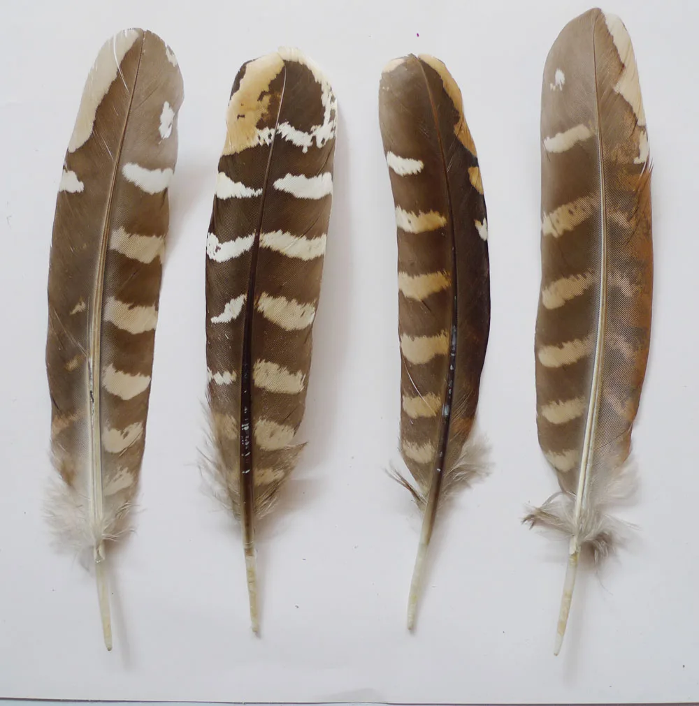 

Wholesale 100Pcs 12-18cm Natural Chicken Pheasnt Plumas Feathers For Mask Jewelry Decoration DIY Crafts Show Accessories Plumes