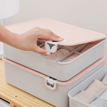 

Home Plastic Underwear Storage Box With Mark Compartment Closet Organizer Makeup Underwear Socks Storage Boxes With Cover