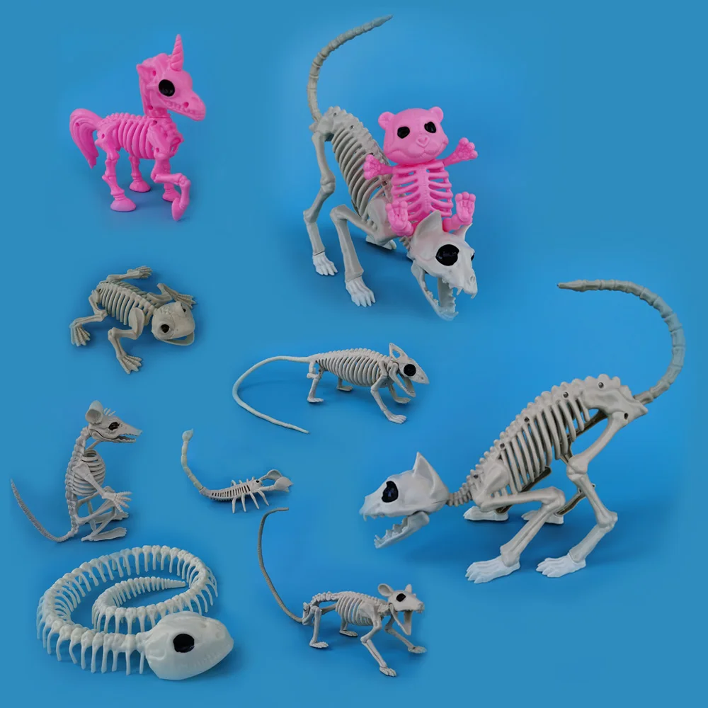Скелет животного в натуральную величину кости кошка Мышь цветов виде скорпиона