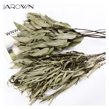 

JAROWN Natural Dried Flowers Eucalyptus Leaf Decor House Table Landscaping Fake DIY Palnt Wedding Party Supplies Home Decoration