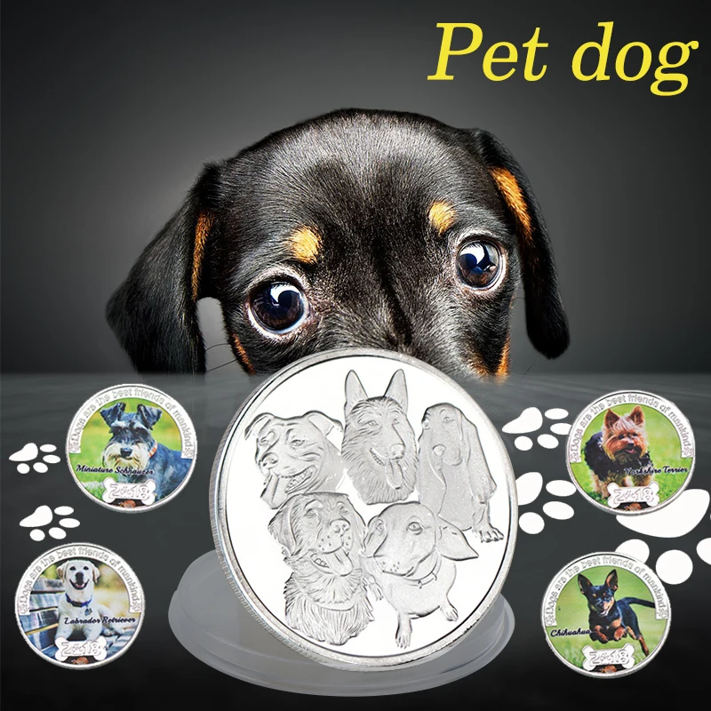 Wr 10Pcs Animali Domestici Cane Monete D'Argento Da Collezione Con Portamonete Animale Double Sided Challenge Coin Regalo Divertente Dropshipping