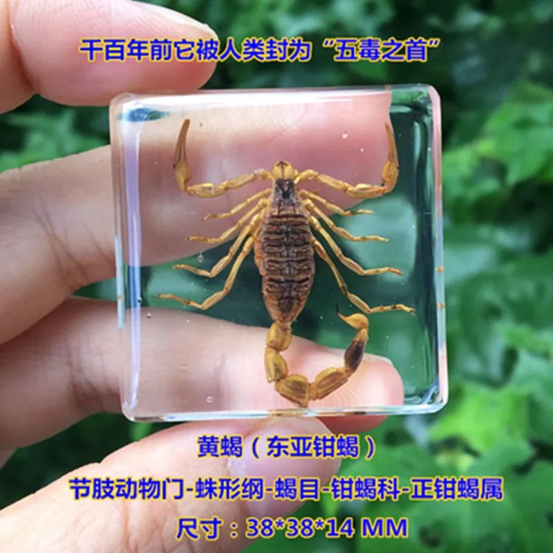 QQ图片20191007180013_副本