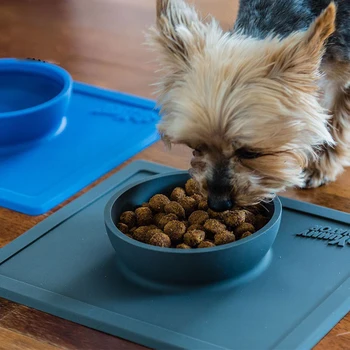 

Dog Feeder Bowls with No Spill Non-Slip Dog Food Bowl Silicone Mat Feeder Bowls Pet Bowl Waterproof Tray for Dogs Cats