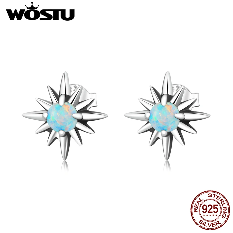 

Wostu Silver Earring 925 Women Opal Star Earrings Zircon Ear Buckles Small Earrings for Lady Girl Jewelry For Wedding Party Gift