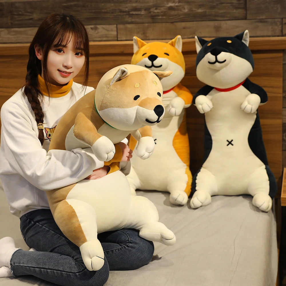 akita and cats