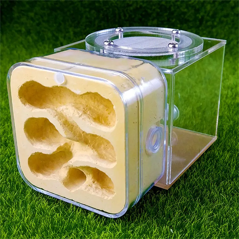 Mini Plaster Ant Nest Acrylic Ants Farm Kids DIY Educational Toys Pet Ants Insect Cages Children Birthday Gifts Anthill House (M (1)