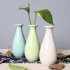 Ceramic Vase Candy Color Mini Desktop Vase Hydroponic Vase Flower Arrangement Bottle Cute Flower Pot Simple Home Decorations 2