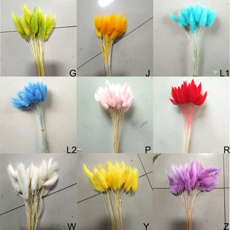 30Pcs/lot Natural Dried Flower Colorful Lagurus Ovatus Real Flower Bouquet for Home Wedding Decoration Rabbit Tail Grass Bunches