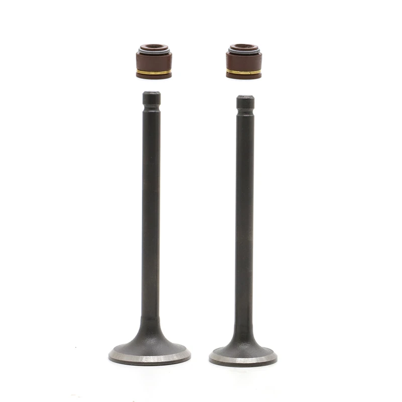 Intake Exhaust Engine Valves Rocker Arm Seals Springs Intake Exhaust Engine Valves Rocker Arm Seals Springs