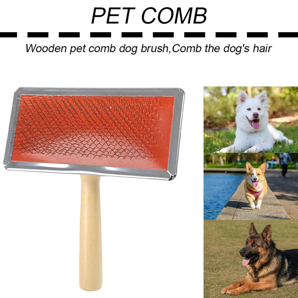big and small dog grooming