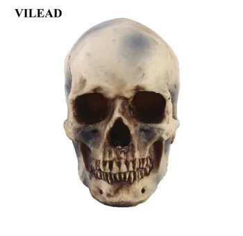 

VILEAD Size 1:1 Model Life Skull Head Halloween Decoration Statue Sculpture Painting Medical Props Bar Counter Skull Decoration
