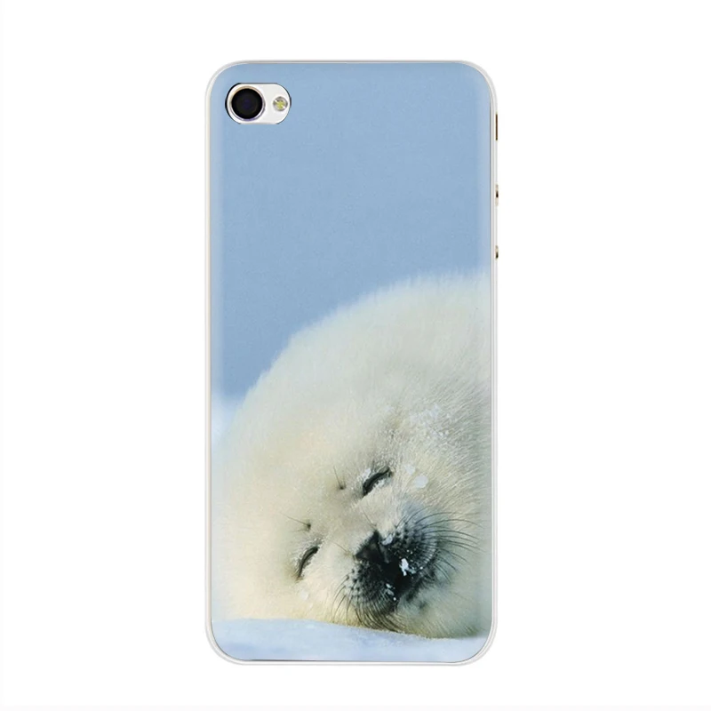 Жесткий чехол для телефона EWAU Baby harp Seal Sea Lion чехол для iPhone 5 5S SE 5C 6 6s Plus 7 8 Plus X XR XS 11 Pro MAX