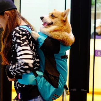 

New Hot Pet Outdoor Backpack Medium Dog Breathable Sport Bag Carrier For Traveling