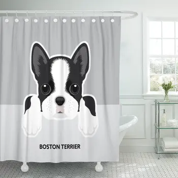 

Shower Curtain Face Portrait of Boston Terrier Puppy Dog Cute Bulldog Waterproof Polyester Fabric Set with Hooks