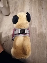 Pet-Vest Harnesses Dog-Supplies Reflective No-Pull Small Walking-Adjustable Large Medium