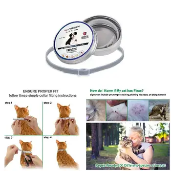 

Cat Dog Collar Tick Flea Anti Insect Mosquitoes Adjustable 8 Months Protection 66CY
