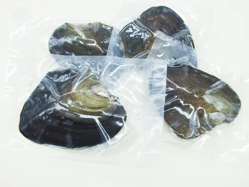 

65pcs freshwater pearl oysters 6-7 mm pearl