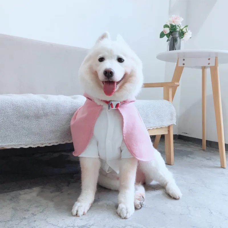 big dog cloak (7)