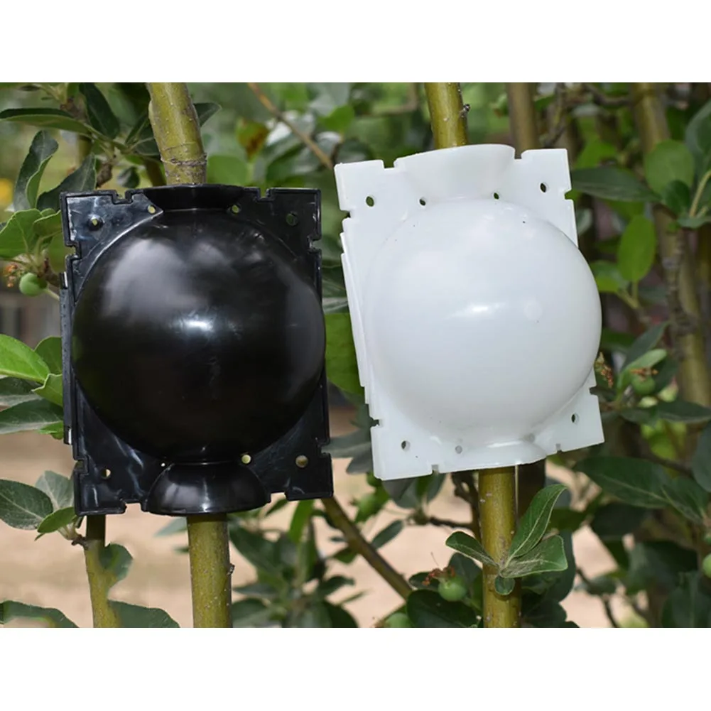 

S/M/L Plant Rooting Ball Grafting Rooting Growing Box Breeding Case For Garden Pouch Root Plastic Flower Container Nursery Box