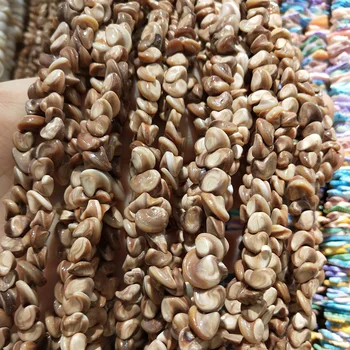 

A bunch of shell beads accessories irregular shape for Jewelry Diy Making necklace and bracelet 2 size