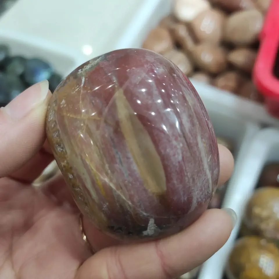 1 Pz 70-90G Fossini Di Pietra Di Legno Lucidati Naturali Pietra Curativa Di Palma Di Cristallo Xylopal