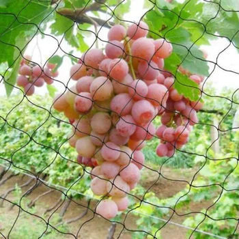 

Mesh Anti-Bird Net Black Fruits Vegetables Tree Crops Plant PE Barrier