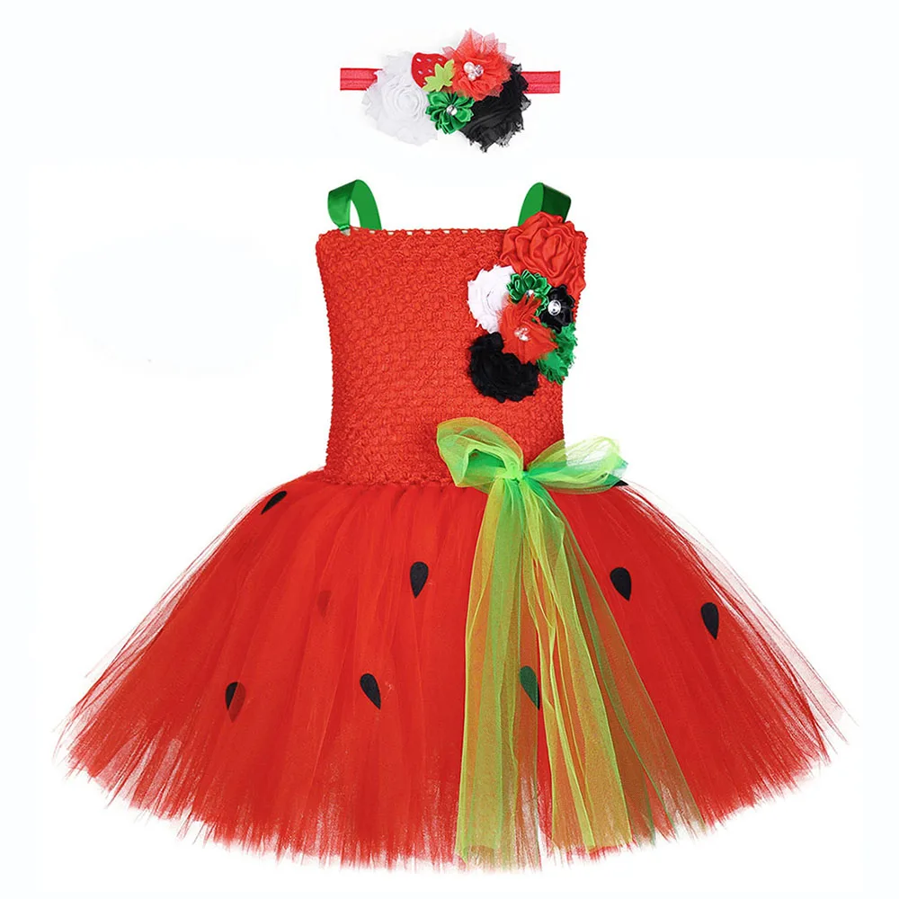 baby watermelon costume
