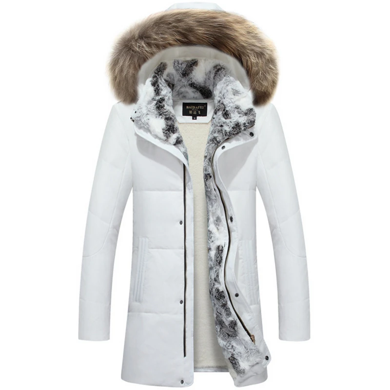 COAT 8004