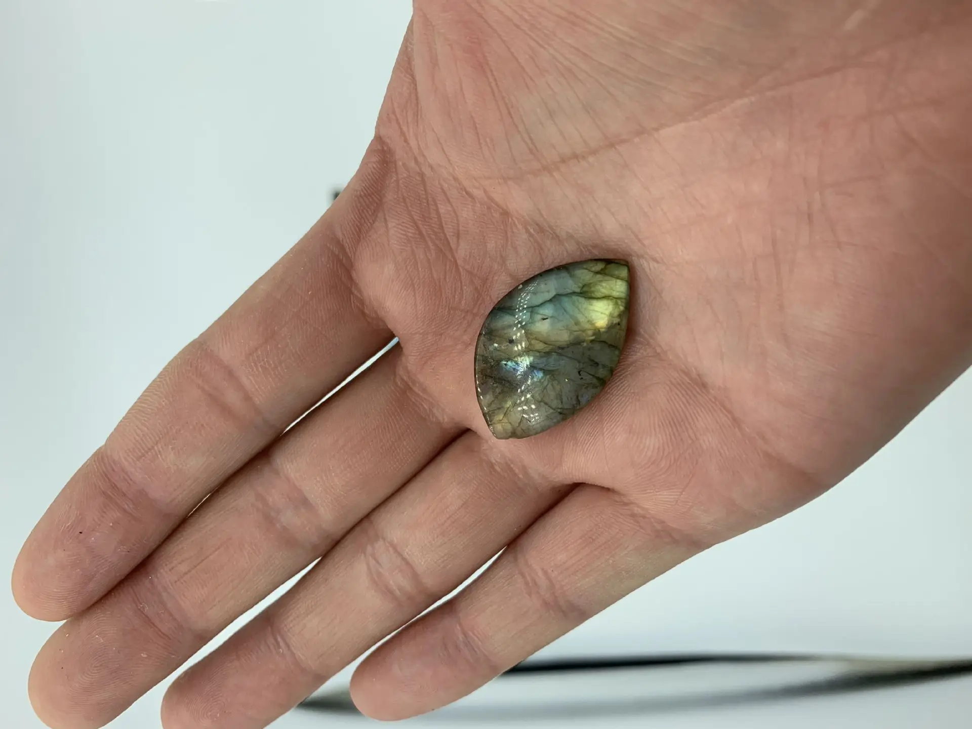 QQPicture20190222123300