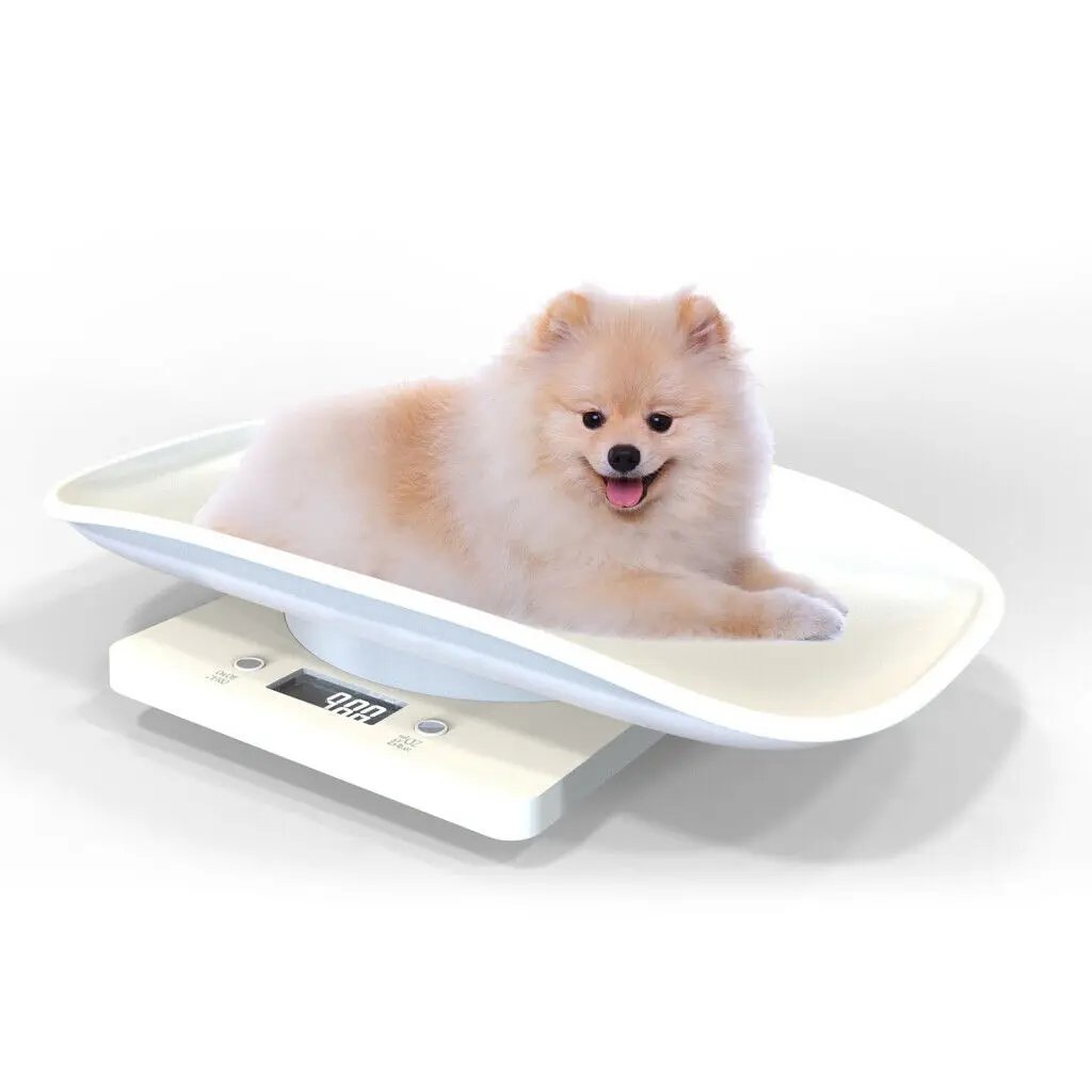 

1PC Practical Digital Weight Scale 10KG Durable Multifunction Handheld Portable Weight Measure Tool Pet Scale for Dog Cat Baby