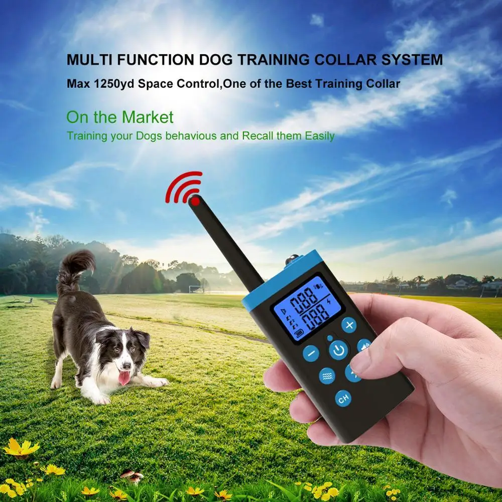 sky dog training collar