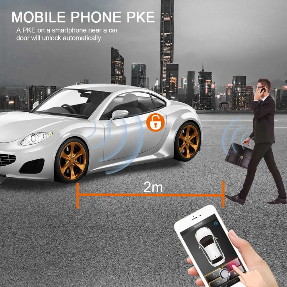 Keyless Entry Auto Remote Start Smartphone APP Button Car Engine Car Alarm System viper Central Loc