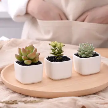 

3pcs White Ceramic Flower Pot for Succulent Plant Pot Desktop Decoration for Home or Office Small Square Green Plant Holders