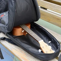 Musical Instruments