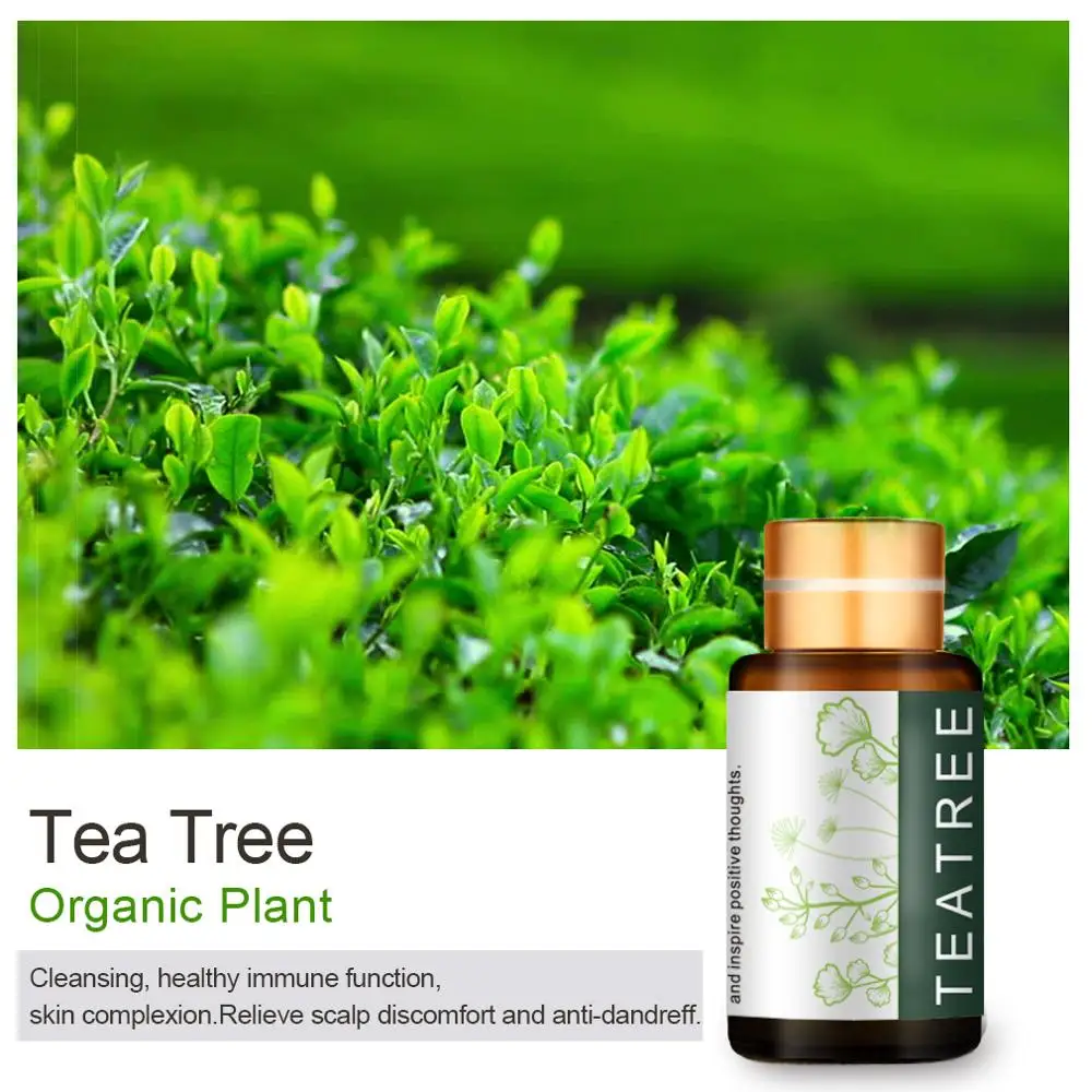 Pure Organic Tree Tea Essential Oils Moisturizing Massage Oil Control Fade Acne Scar Removal Cystic Treatment Blackhead Pore | Красота и