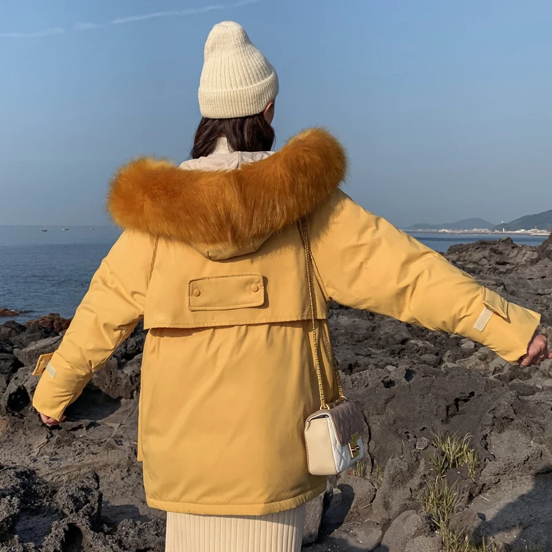 Korean Style 2019 Winter Jacket Women Warm Thicken Loose Female Coat W_B6_17