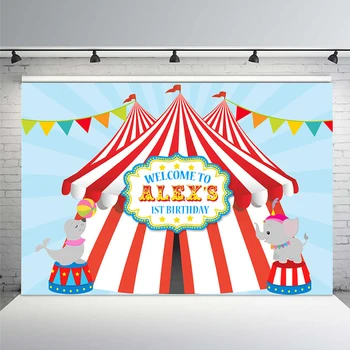 

Carnival Circus Party Photography Backdrop Bunting 1st Birthday Party Backgrounds Photocall Vinyl