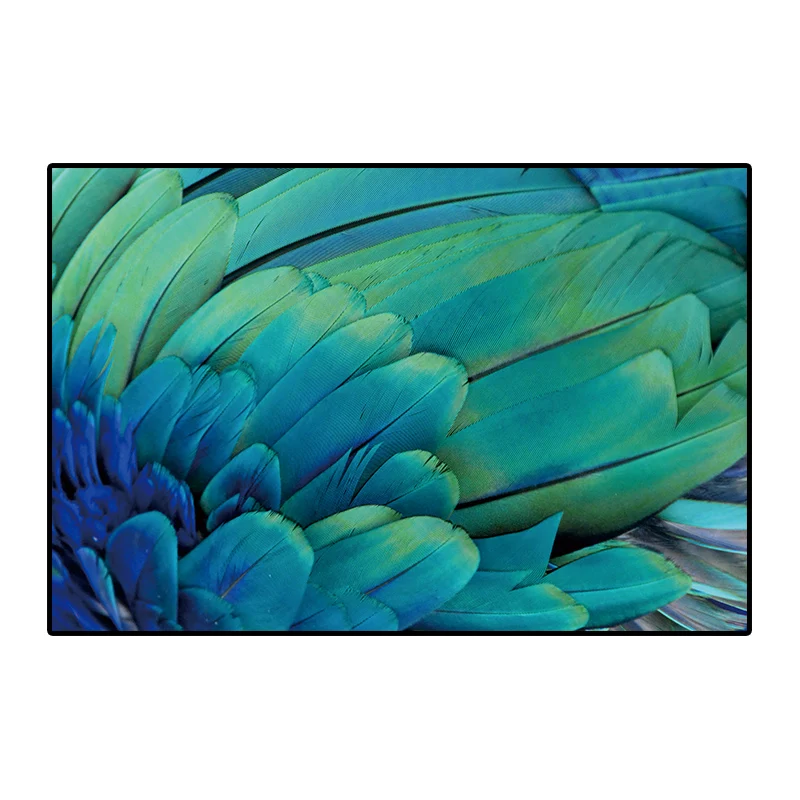 baidi__0000s_0013_dz26 (8)