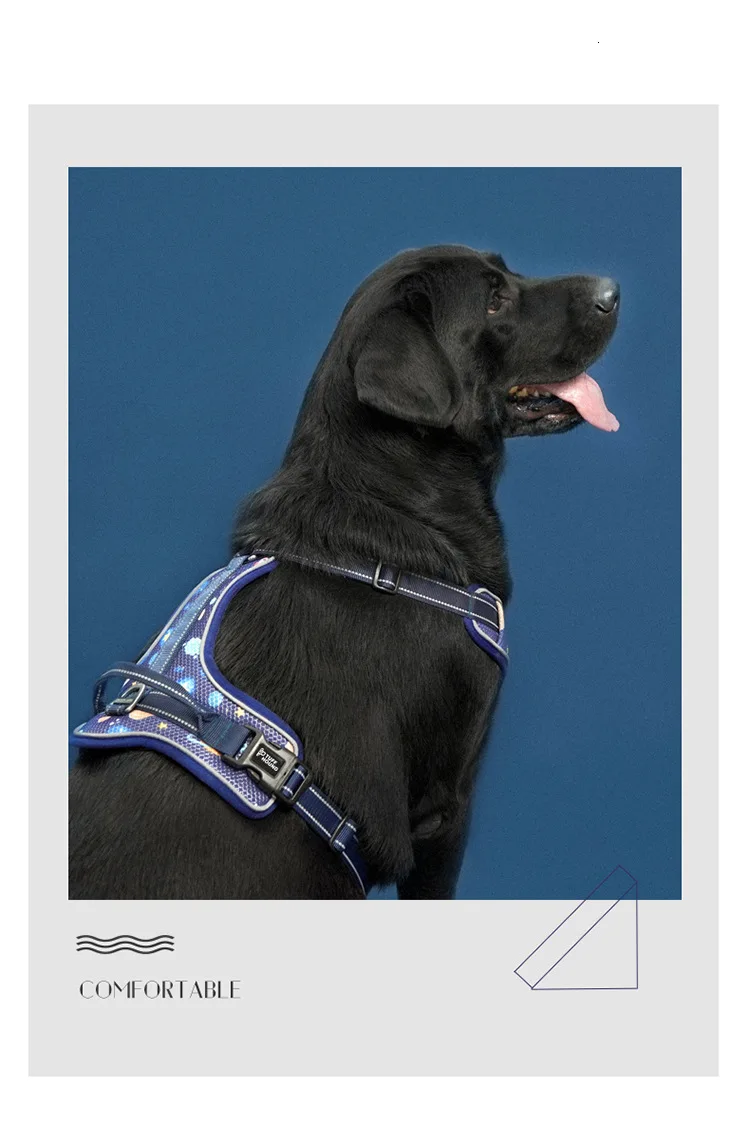 TUFF HOUND,, Новое поступление, поводок для маленьких и больших собак, дышащая сетка, яркие цвета, не тянется, поводок для собак, Прямая поставка